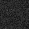 Jet Black (3100)